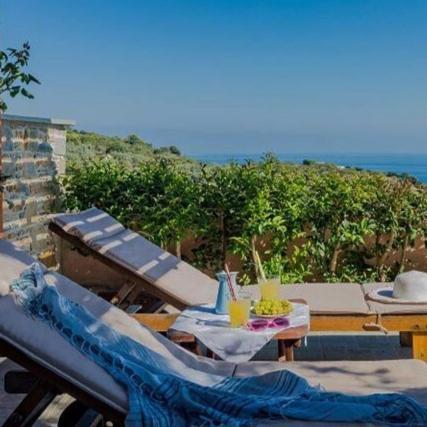 Villa Alegria Skopelos stad Exteriör bild